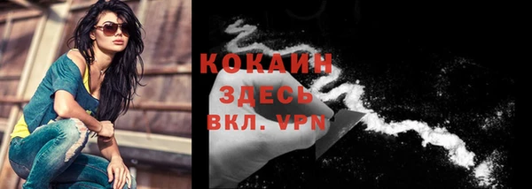 прущий лед Пересвет