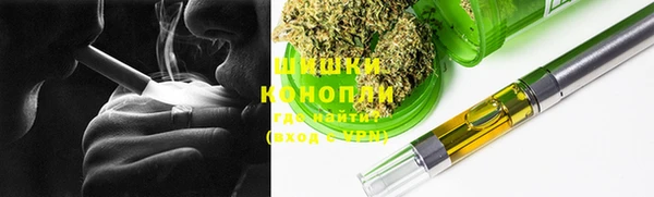 СК Алексин