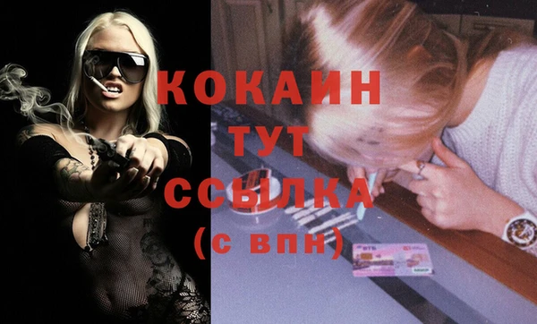СК Алексин
