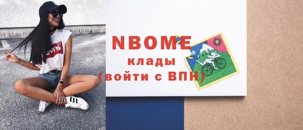 СК Алексин
