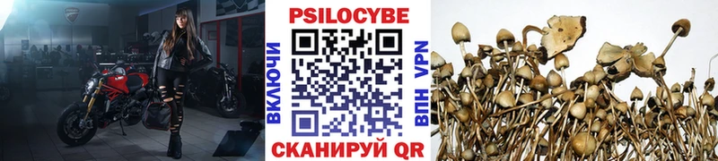 Галлюциногенные грибы Cubensis  Кондопога 