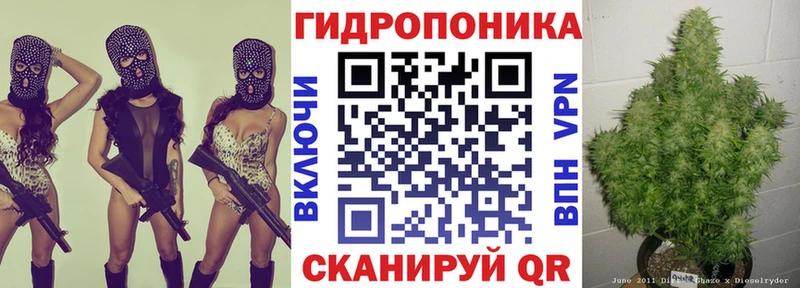 Бошки марихуана ГИДРОПОН  как найти   Кондопога 
